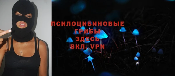 крисы Армянск