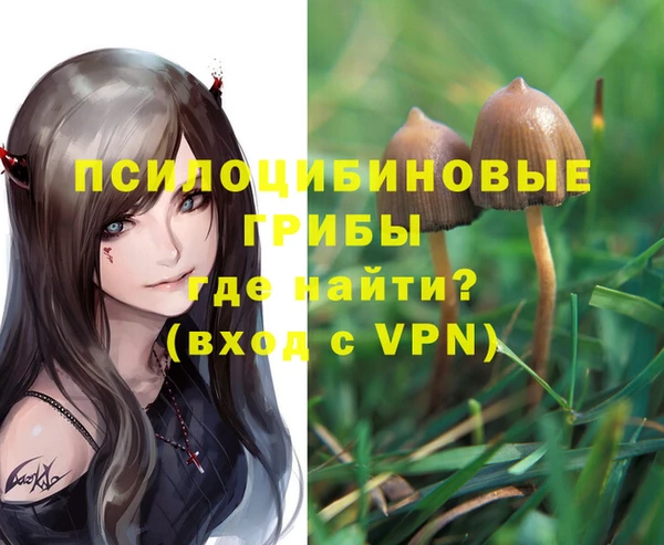 ешки Снежинск