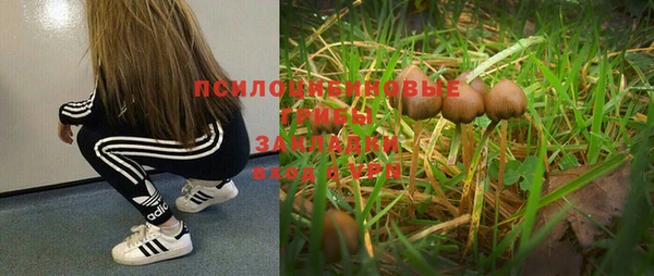 синтетический гашиш Балахна
