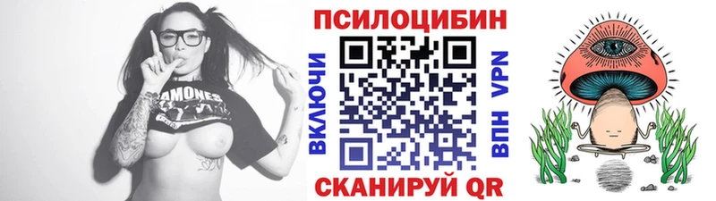 ОМГ ОМГ сайт Сясьстрой Галлюциногенные грибы MAGIC MUSHROOMS